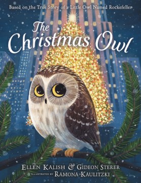 'The Christmas Owl' book cover